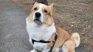 #МАРТ#2025 #ПОНЕДЕЛЬНИК #ПРОГУЛКА