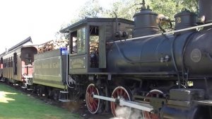 4328886-hd_1920_1080_24fps