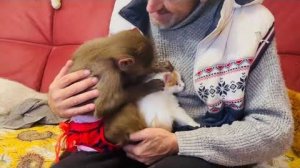 Вот оно ЛЮСЬКИНО СЧАСТЬЕ! Люська увидела котят и включила ЗАБОТУШКУ