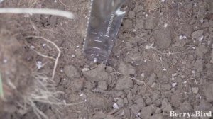 Многозадачный пропольщик 5-в-1 ручной Berry&Bird