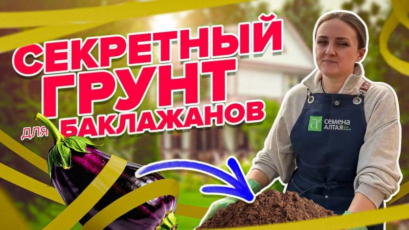 ПОСЕВ БАКЛАЖАНОВ ПРАВИЛЬНО. ГРУНТ ДЛЯ БАКЛАЖАНОВ