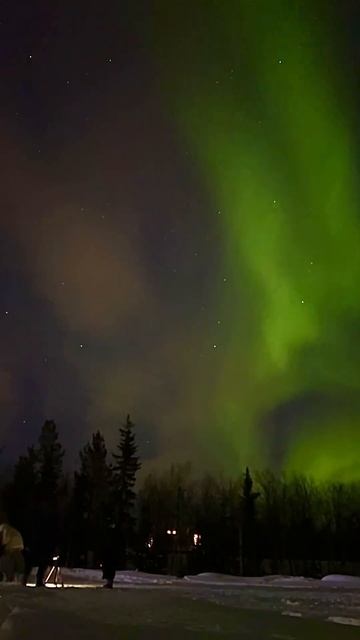#northernlights @aurora #murmansk #snow #auroravillage видео северного сияния март Aurora Borealis