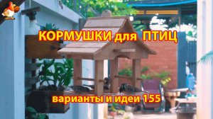 Кормушка для птиц своими руками как сделать пошагово  (155) 🪚🪛🔨 Идеи для дачи и сада❣️