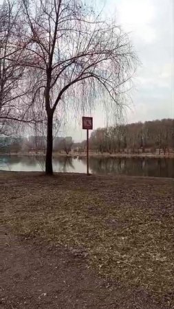 31-03-2025 у пруда джамгаровского парка