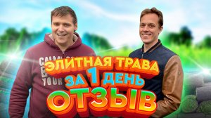 Озеленение за 1 день