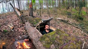 СЕКРЕТНОЕ УБЕЖИЩЕ внутри упавшего дерева!!!