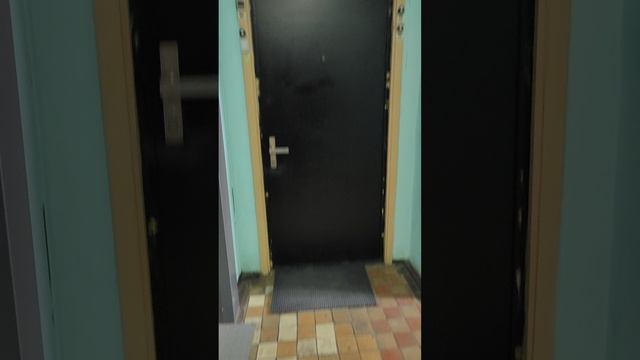 Видео N 55