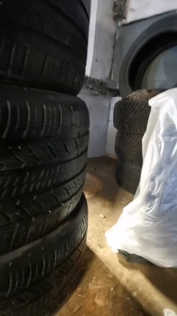 31-03-2025 смотреть онлайн