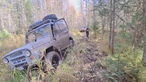 На двух УАЗах через просеку