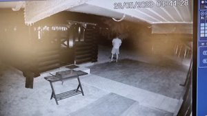 Нападение бешенного енота на человека на собственном участке!