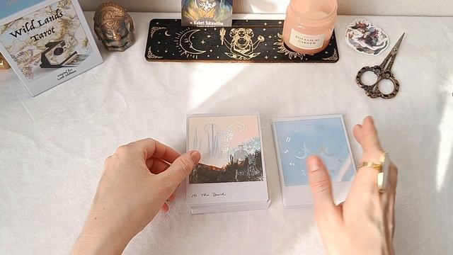 Wild Lands Tarot / Таро Диких Земель – купила за донаты подписчиков😅🩷 Распаковка-обзор новой колод
