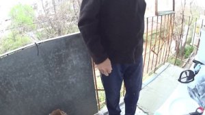 День за дём ( 2 часть ) .