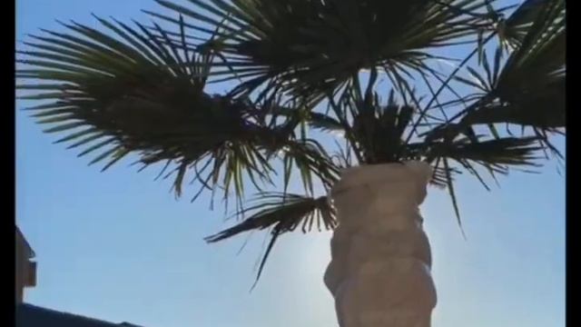 19 марта 2025 г. смотреть онлайн