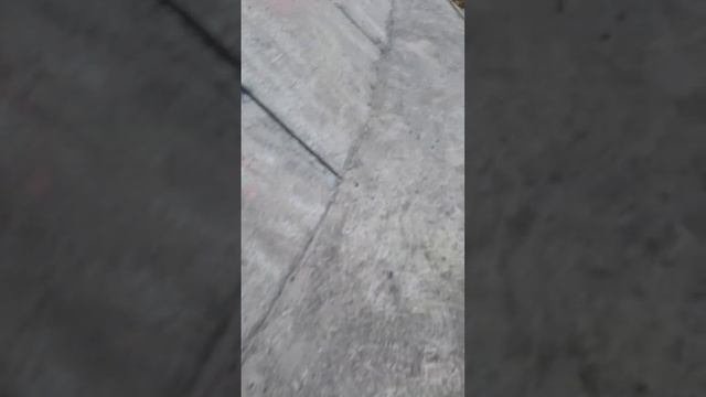 Под мостом 5