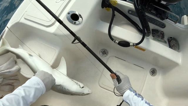 SHARKs and Cuda, September 29, 2020 смотреть онлайн