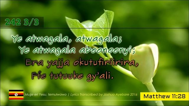 HYMN 242 Mujje eri Yesu temurwawo | Luganda Church Of Uganda Gospel Music Lyrics смотреть онлайн