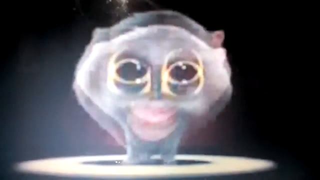 прикол:смешной кот смотреть онлайн