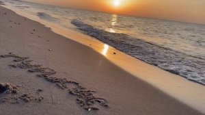 Надпись на песке