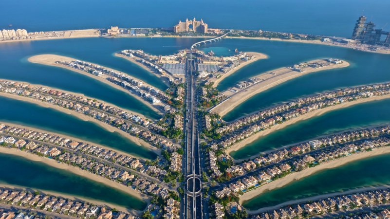 С рабочим визитом прибыл на Пальму 🌴 🇦🇪