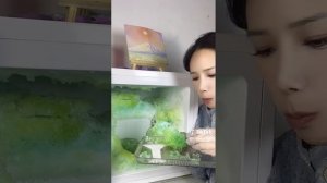 зелёная наледь в морозилке от испарителя, супер вкусно!