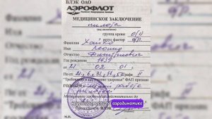 Хочу стать пилотом!✈ | Как стать пилотом гражданской авиации? | Инструкция для будущих пилотов.