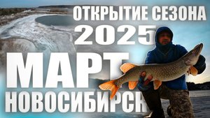Спиннинг 2025, открытие нового сезона . Рыбалка на джиг-риг в НОВОСИБИРСКЕ.