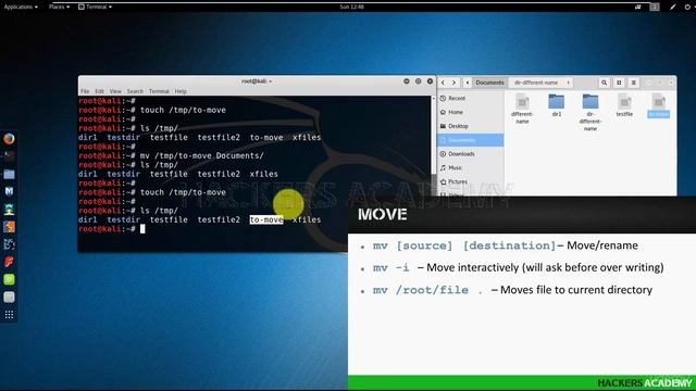 Kali Linux для начинающих (основы)