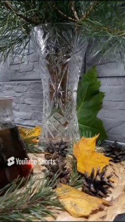 ДЕТКИ СДЕЛАЛИ МАЛЕНЬКИЙ ЛЕС НА СТОЛЕ ДЛЯ МЕНЯ🤗🤗🌲