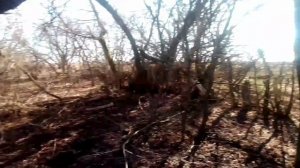 Хутор Вишняковых, захватил густой туман. Убираем, приводим наш любимый уголок жизни,  в порядок.