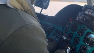 Ласточки летают над землёй..