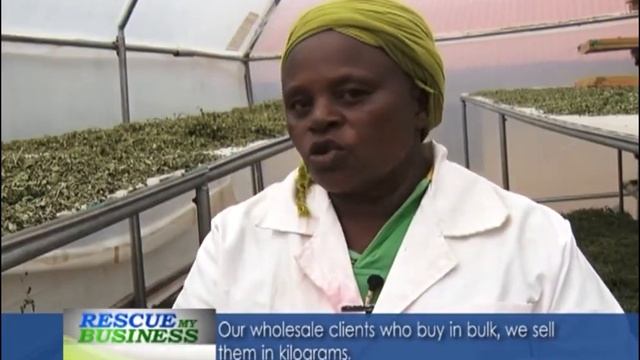 RMB Moringa value chain Sn1 Eps8 смотреть онлайн