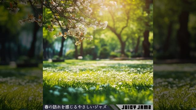 Luminous Dusk Symphony смотреть онлайн