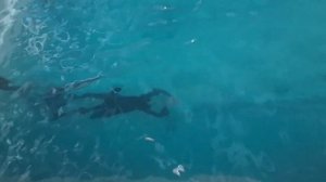 60 метров на задержке дыхания