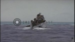 Братство по оружию. Спасти рядового Янсена