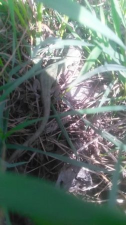 VID_20250330_093956