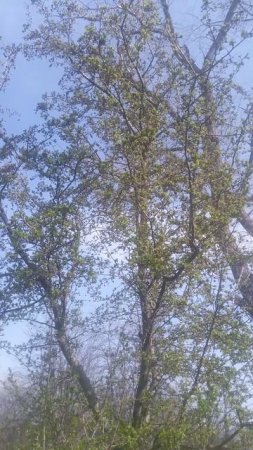 VID_20250330_105010
