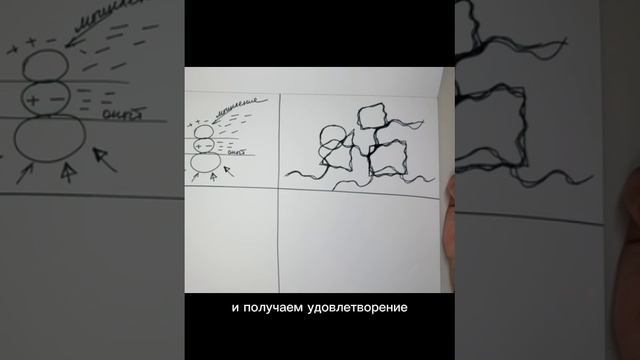 принцип 5 нейрографики: гармония ведет к удовлетворению