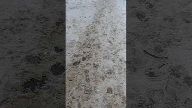 7 марта 2025 г., 10:44:46
ул. Газеты Звезда
VID_20250307_104204453