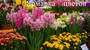 Ярмарка цветов.