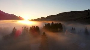 Просыпайся до 5 утра секреты успеха, которые изменят твою жизнь!