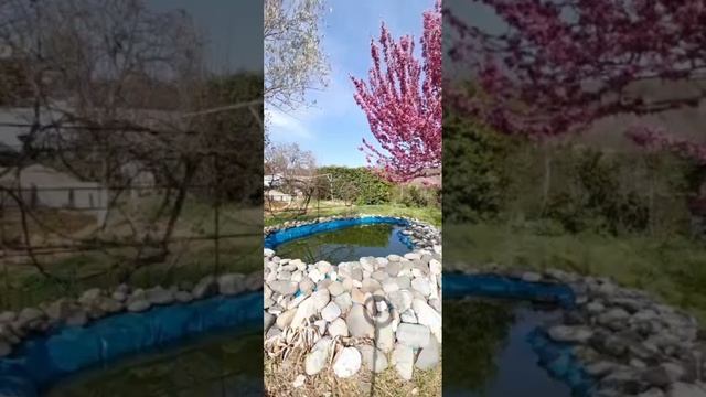 достаем косу и начинаем косить