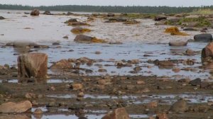 У Белого моря 2007