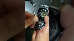 Daiwa Exceler 4000c люфт или не люфт?