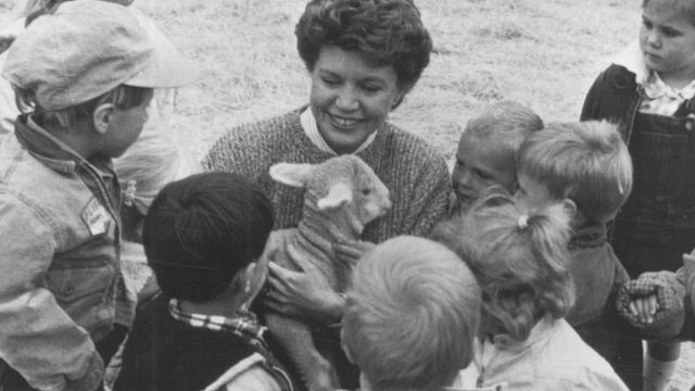 Все ли животные являются элементалами?