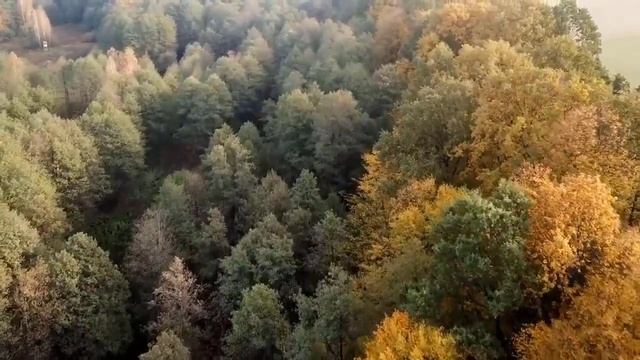 Last Bus to Woodstock - Inspector Morse || BBC Radio Drama#bbc смотреть онлайн