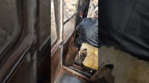 ЛТ-72 на погрузке