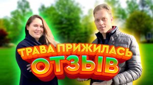 Газон за 1 день