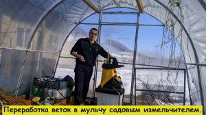 Переработка веток в мульчу.