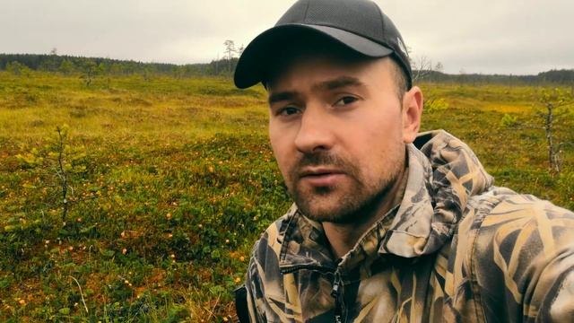Насобирал морошки!!!! ВНИМАНИЕ КОНКУРС!!!! #морошка