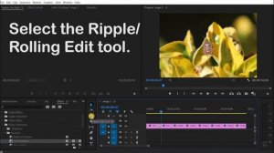 How to Copy Transitions to Multiple Clips in Premiere Pro.